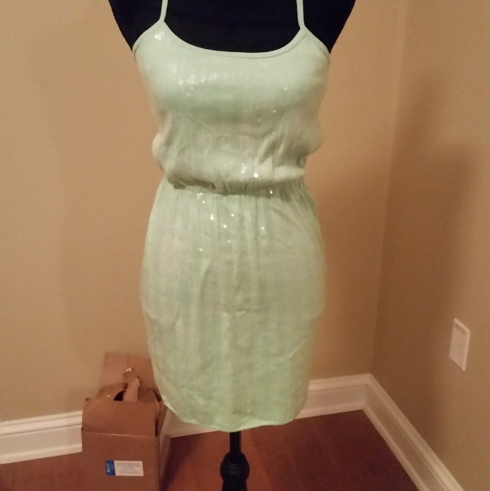 light green full sequin dress